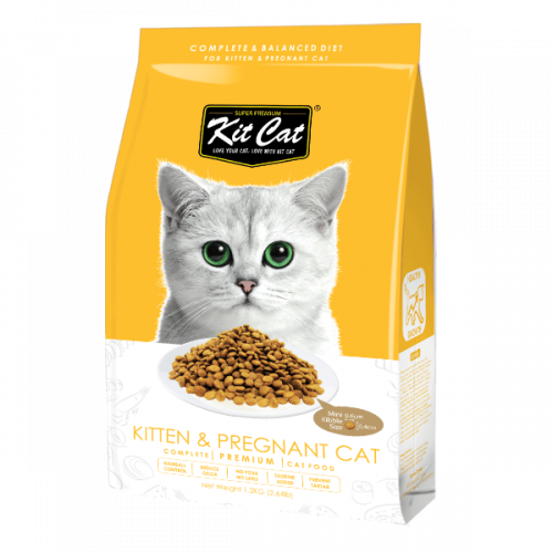 كت كات طعام جاف للقطط الصغيرة والحوامل لدعم النمو...
