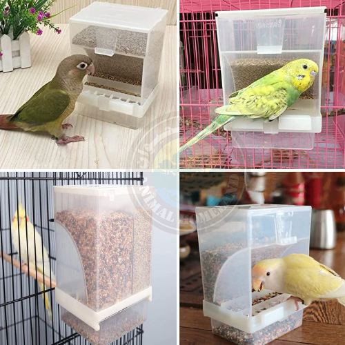 مأكلية ذكية أوتوماتيكية للطيور والببغاوات الصغيرة...