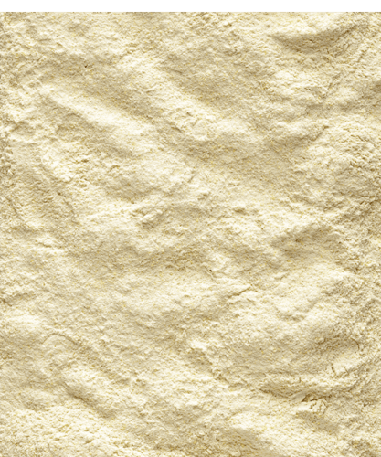 فيرسل لاقا غذاء يومي لطيور اللوري 700 جم