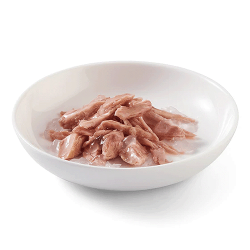 شيزر أظرف طعام رطب للقطط رطب تونا في الجيلي 85 غ