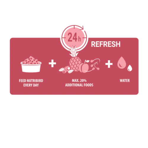 فيرسل لاقا نيوتري بيرد تروبيكال P15 زوبريم الببغاء...