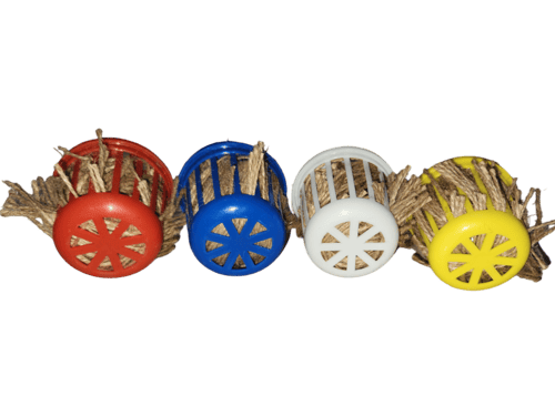 خيوط تعشيش الزيبرا والكناري