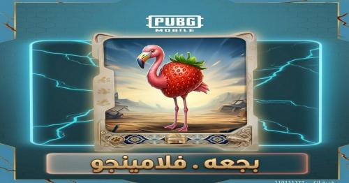 بجعة فلامنيجو - مود الأسلحة او الطاسة خصم رائع وال...
