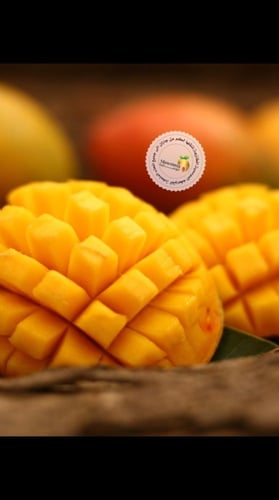 12 بوكسات لانجرا مع شحن مجاني