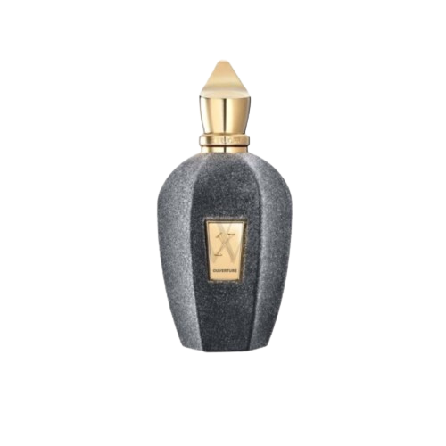 عطر اوفرتشر زيرجوف ادو بارفيوم 100 مل Ouverture Xe...