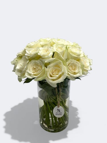 فازة نورلين