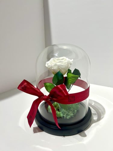 وردة دائمه ابيض