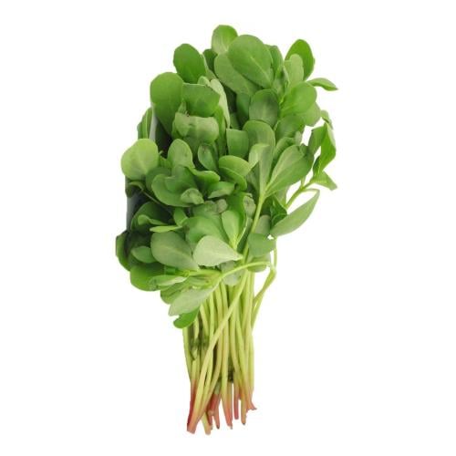 رجله _حزمة