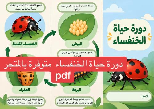 دورة حياة الضفدع_الخنفساء