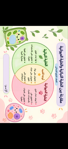 مقارنة بين الخلية الحيوانية والنباتية
