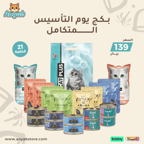 بكج يوم التأسيس المتكامل