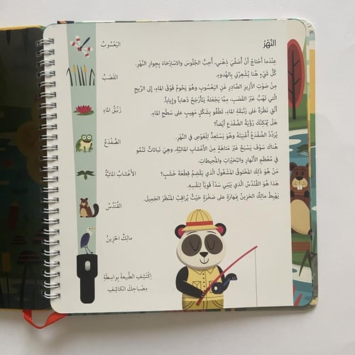 سلط الضوء واكتشف - الطبيعة