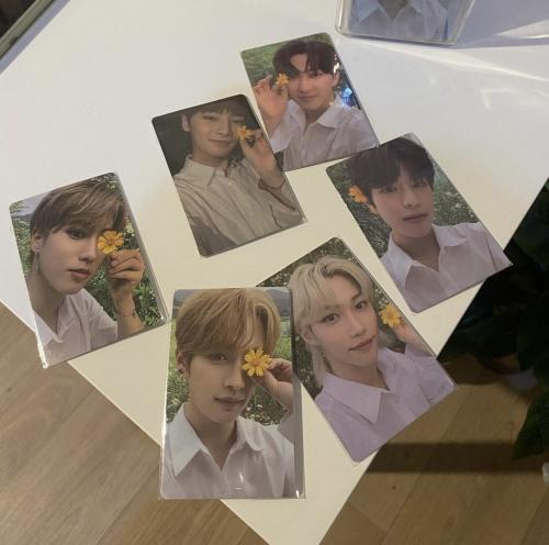 فوتوكارد ستراي كيدز