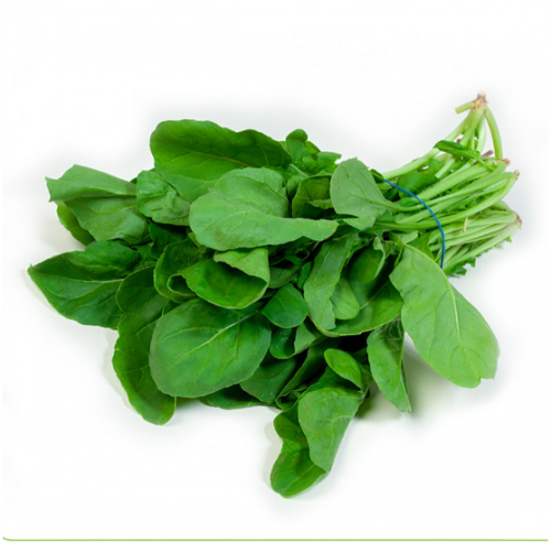 بذور الجرجير ( 15 بذرة )