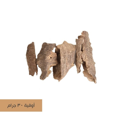 عود فيتنامي