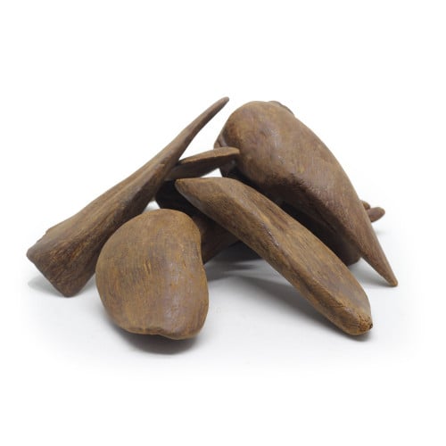 عرض (التجربة)