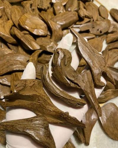 مروكي دبل سوبر كسر مباخر