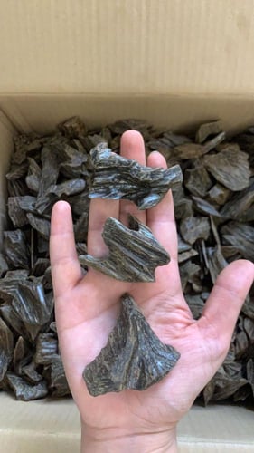 كيلو كلمنتانvip