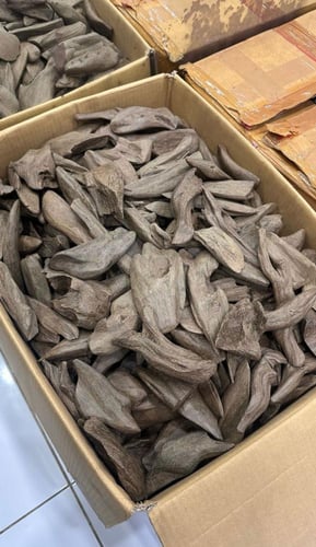 مروكي الشيوخ