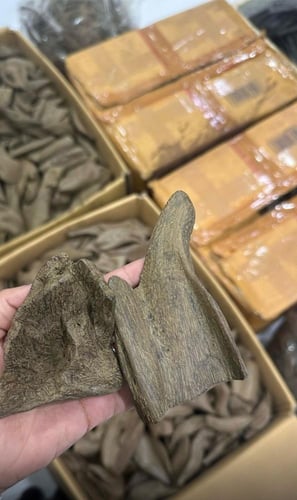 مروكي الشيوخ الاصلي الكيلو بـ 2500