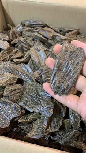 كيلو كلمنتانvip