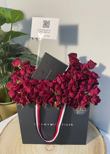 تنسيق كيس تومي هيلفيقر