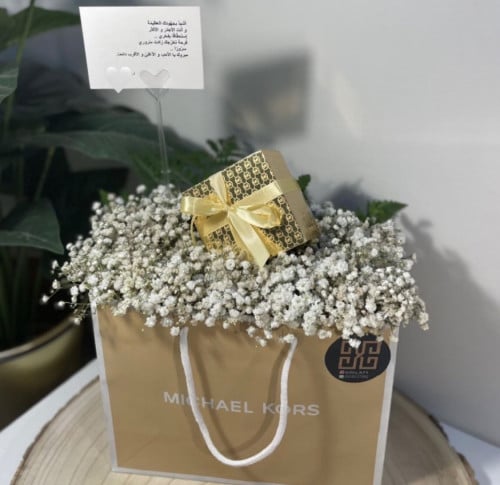 تنسيق كيس مايكل كورس