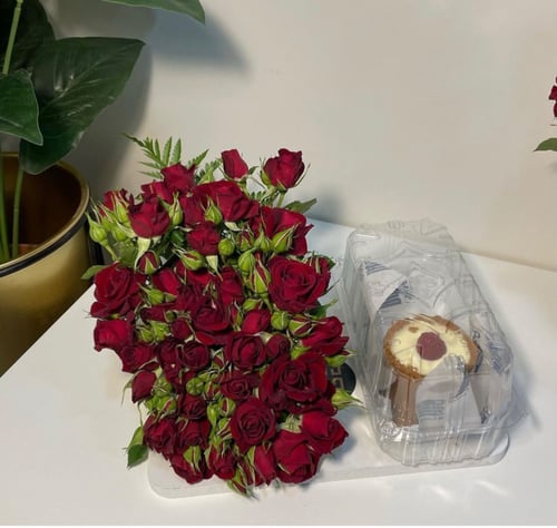 تنسيق تشيز كيك دوت