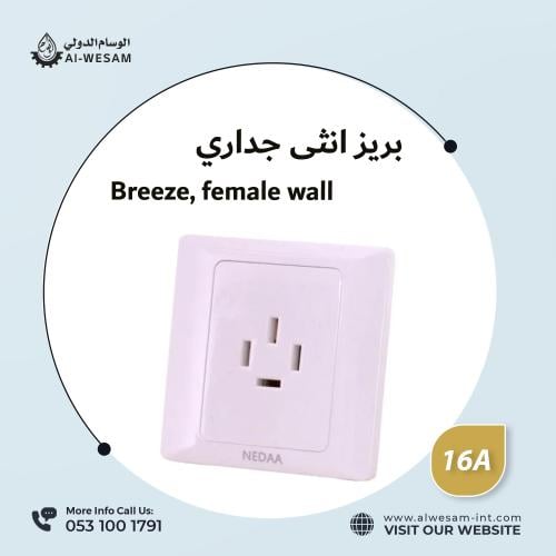 بريز انثى جداري فيش رباعي 16 امبير 4 خطوط