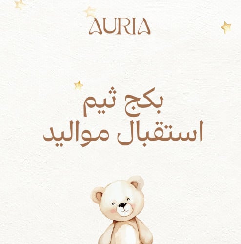 Baby arrival theme package