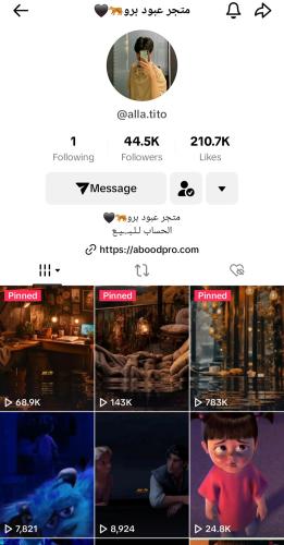 حساب تيك 44الف متابع عرب