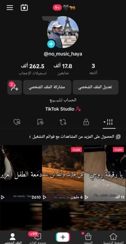 حساب تيك 17800متابع عرب