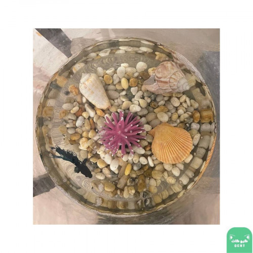 حوض تصميم جاهز