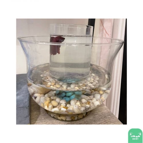 حوض تصميم جاهز