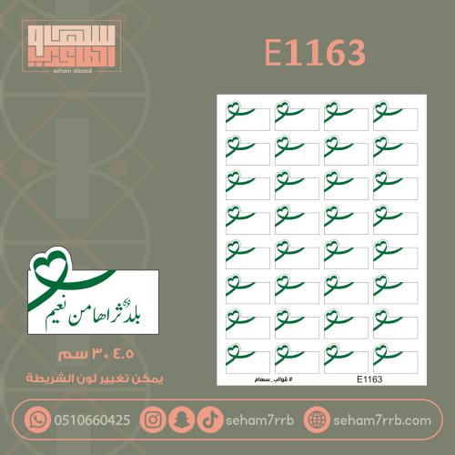 E1163