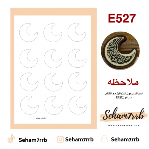 E527