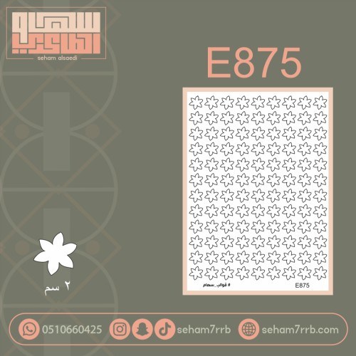 E875