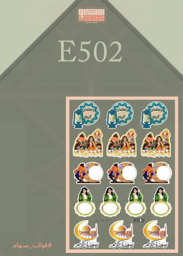 E502
