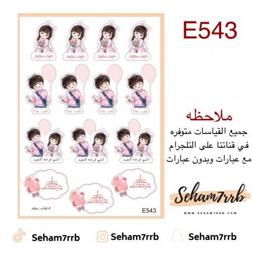 E543