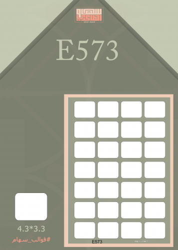 E573
