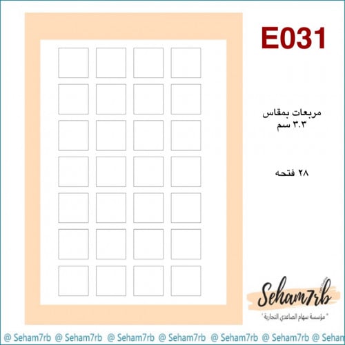 E031