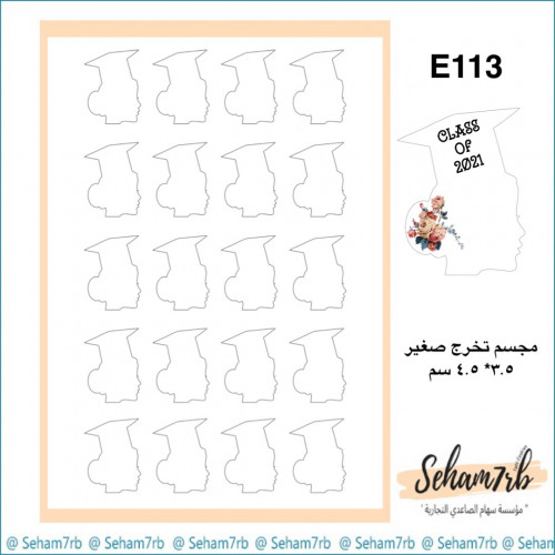 E113