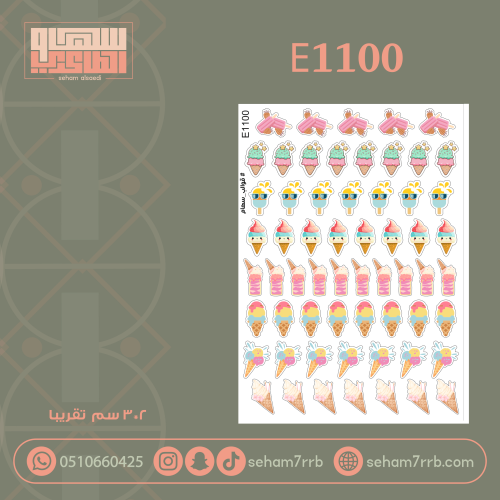 E1100