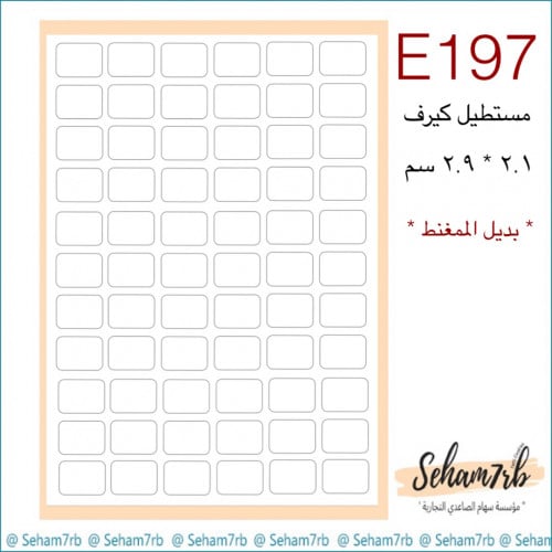 E197