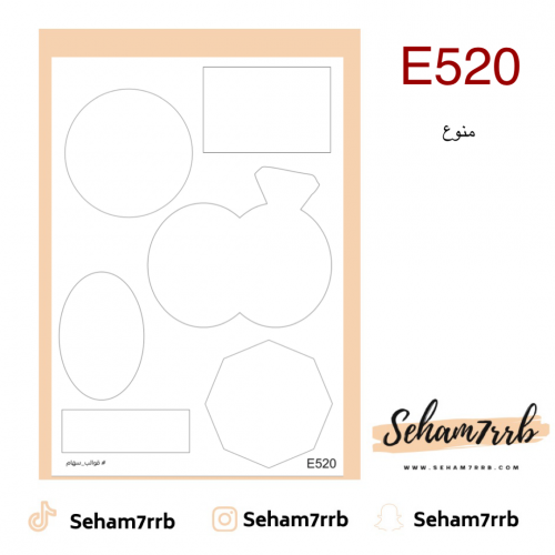 E520