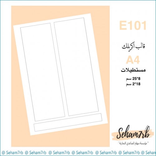 E101