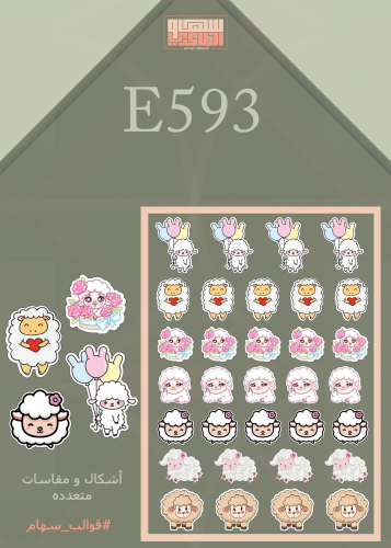 E593