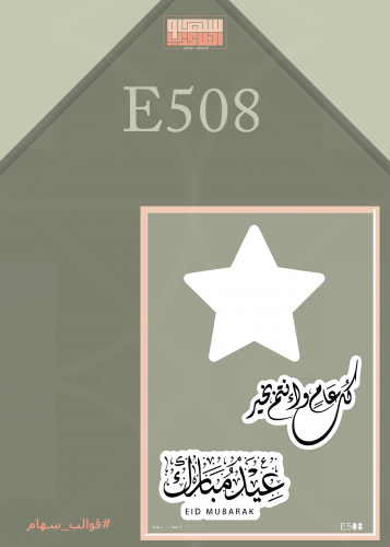 E508
