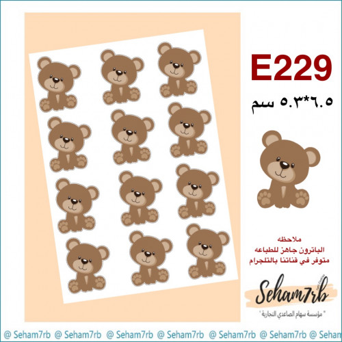 E229