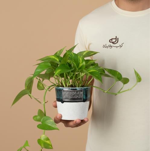 اصيص نباتات